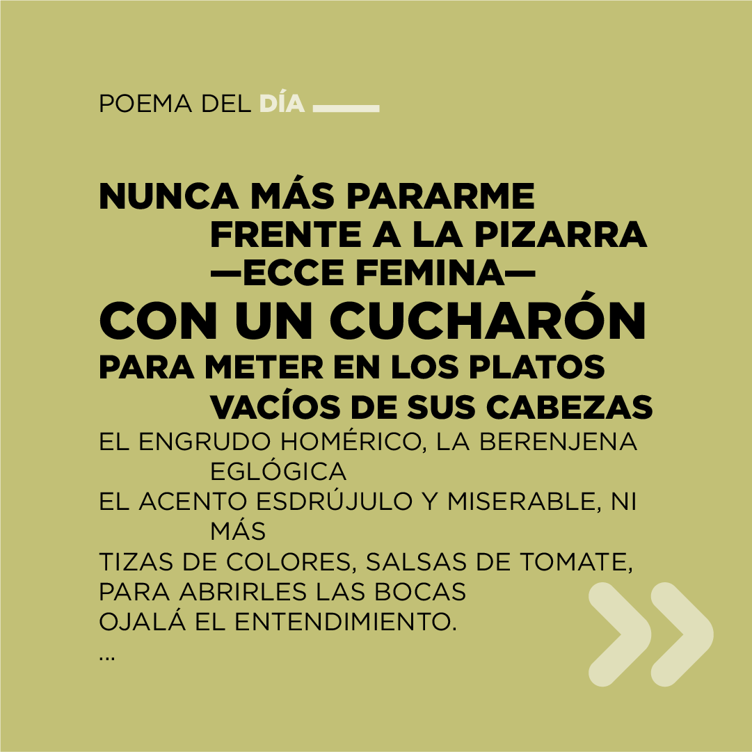 casaliteratura's tweet photo. Compartimos el poema «Profesora De Lengua Y Literatura – Ex», de Rossella di Paolo incluido en su libro «Piel alzada» (1993) #poema #poesía #poeta https://t.co/9yEclth383