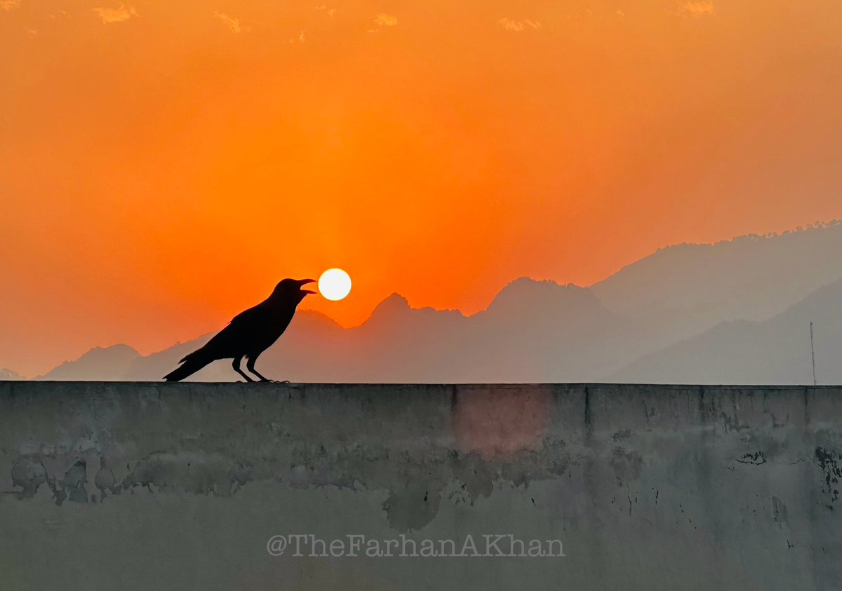 🌅 Stunning summer evening sunset view of Margalla hills from a rooftop. Look closely, a clever crow seems to be holding the golden sun in its beak! 🤩 #MargallaHills #SunsetView #RooftopVibes #Islamabad #NaturePhotography 
📸 by Me