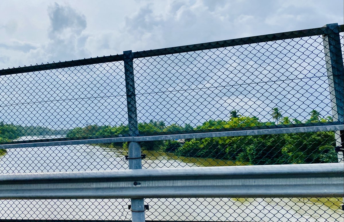 Priyanga Dilini Talagala tweet media