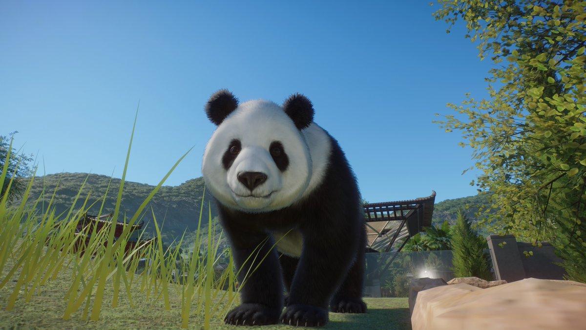 JTDoubleB1's tweet photo. πππ₯Good Thursday morning Zookeepers!!! We are back on this amazing Thursday for more Zoo Adventures!!!πππ₯Join JTDoubleB today at 10:15 a.m. CST For Planet Zoo!!!πππ₯- https://t.co/Wu06dDI3xn #Gaming #frontierdev #thursdayvibes #ThursdayThoughts https://t.co/LrrrpJe7Ul