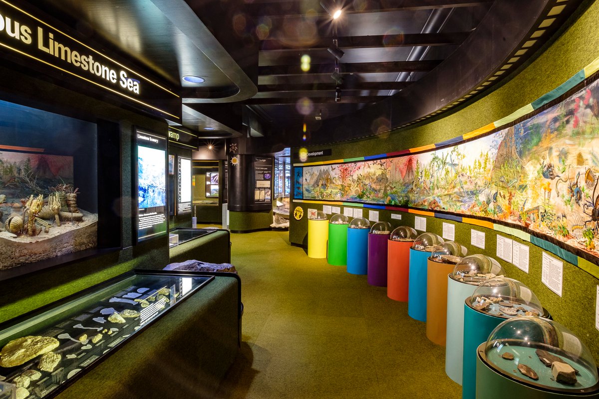 Bradford Museums & Galleries tweet media