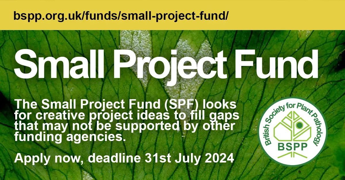 🌿 Attention plant pathologists! The BSPP Small Project Fund offers up to £5000 for creative projects in plant disease control. Apply by July 31, 2024. Let’s innovate together! 💡🔬 #PlantScience #FundingOpportunity 
buff.ly/3YEQK5H