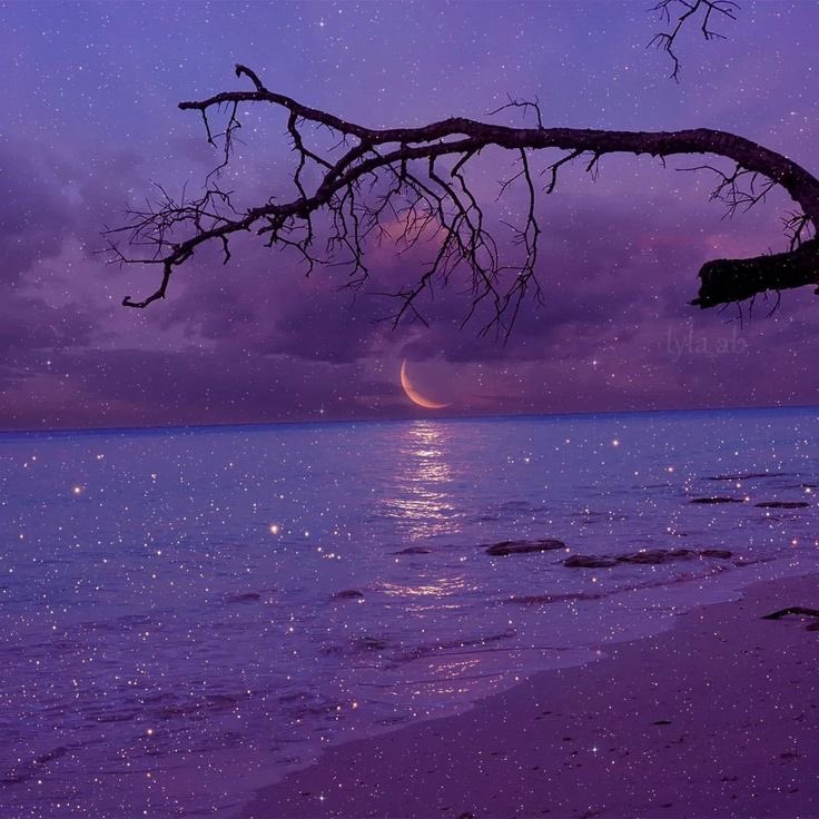 violettweets_'s tweet photo. lavender haze. https://t.co/jnvYOPBXBx