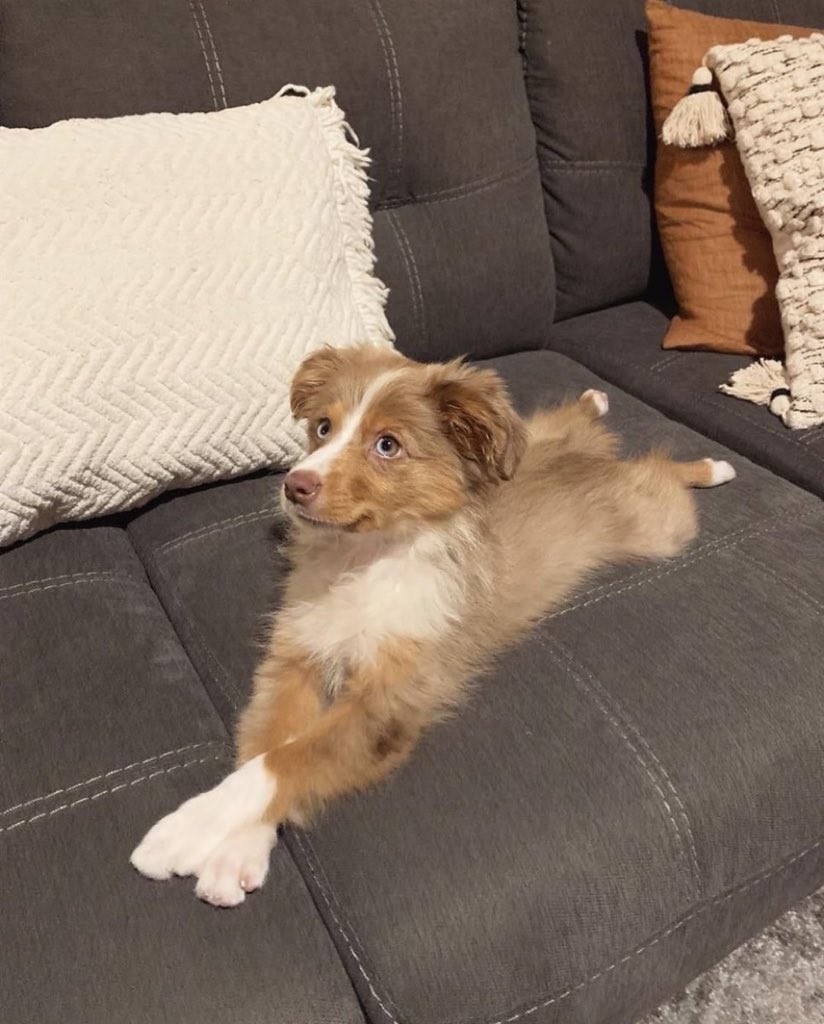 twaniimals's tweet image. 