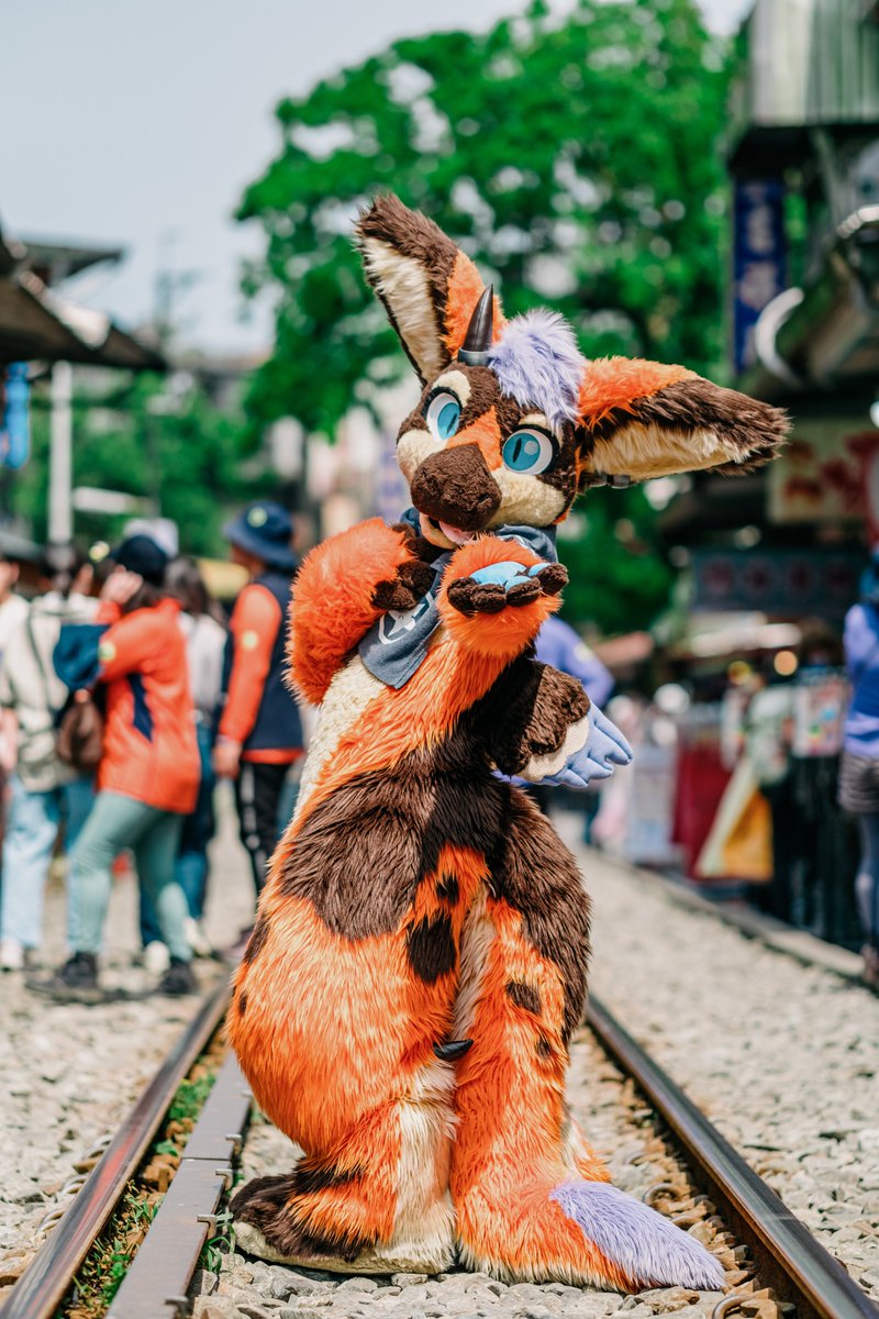 秋色狐 🐾🐾🐾 #FursuitFriday 📸: @DD_Woof