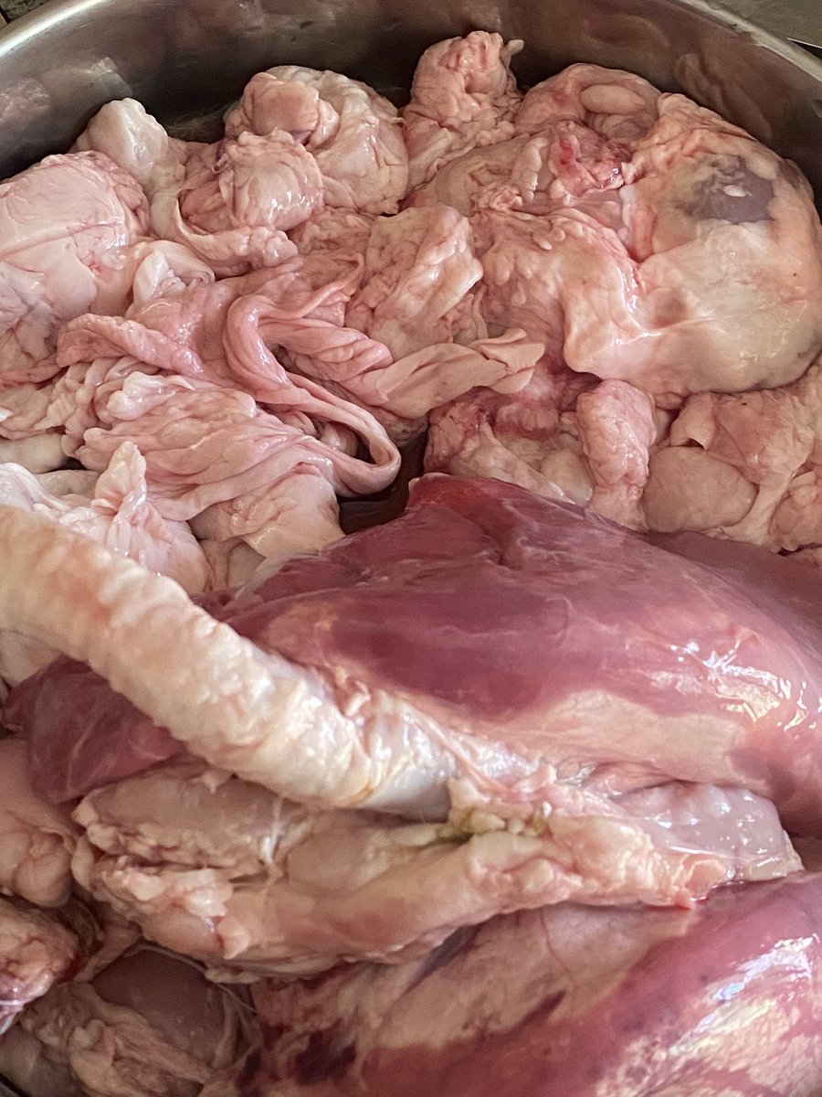 nini 🎀 tweet media