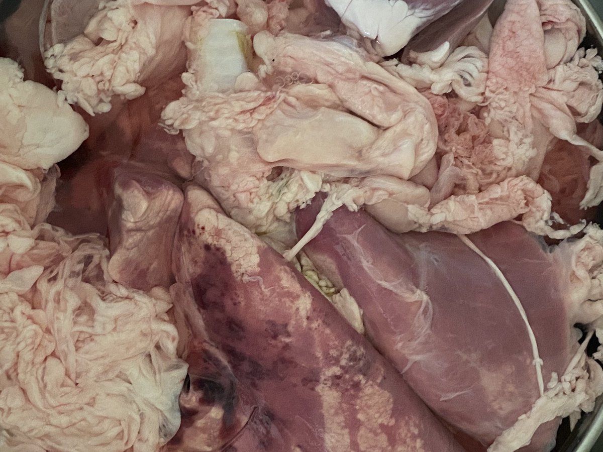 nini 🎀 tweet media