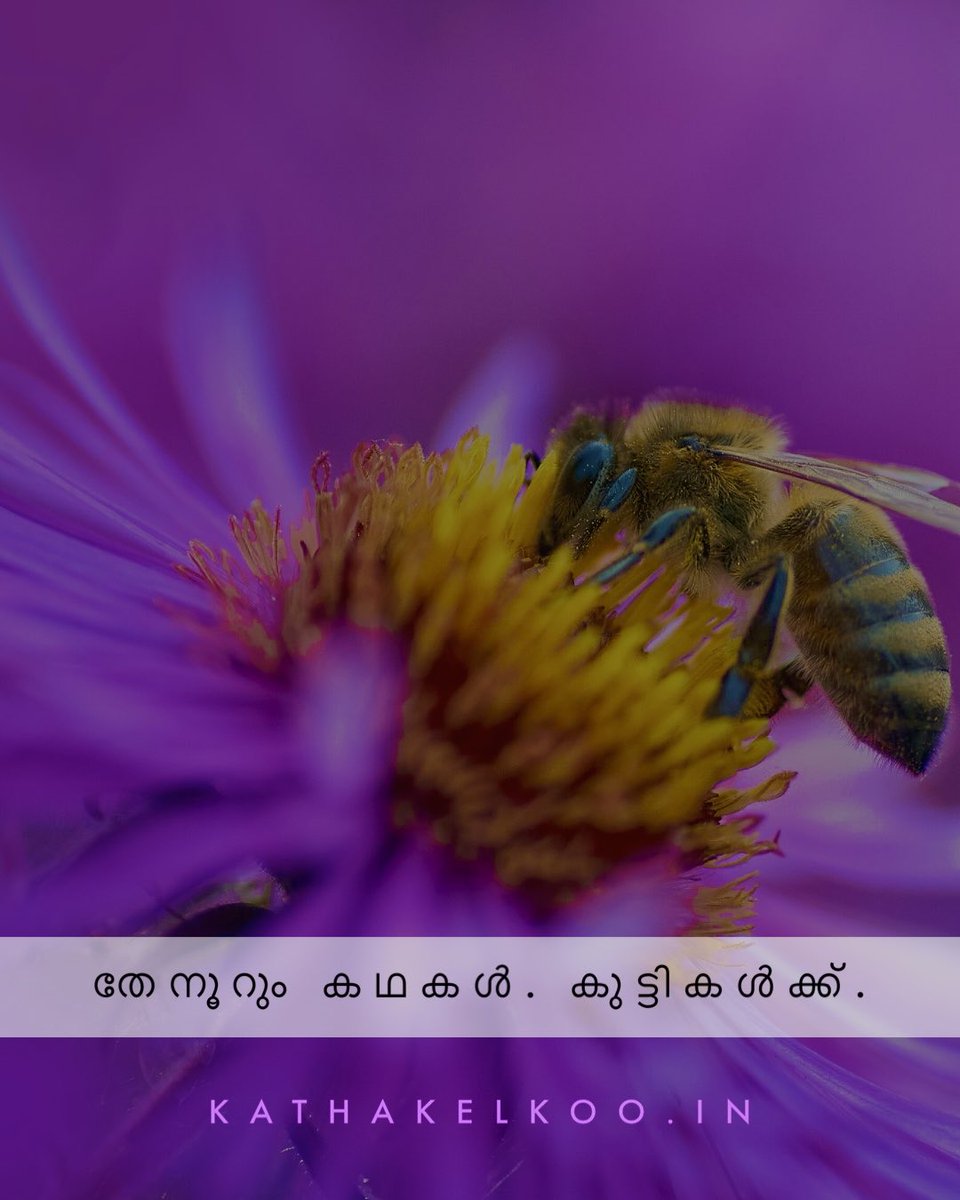 Katha Kelkoo Kanmanee (@kathakelko65913) on Twitter photo 
