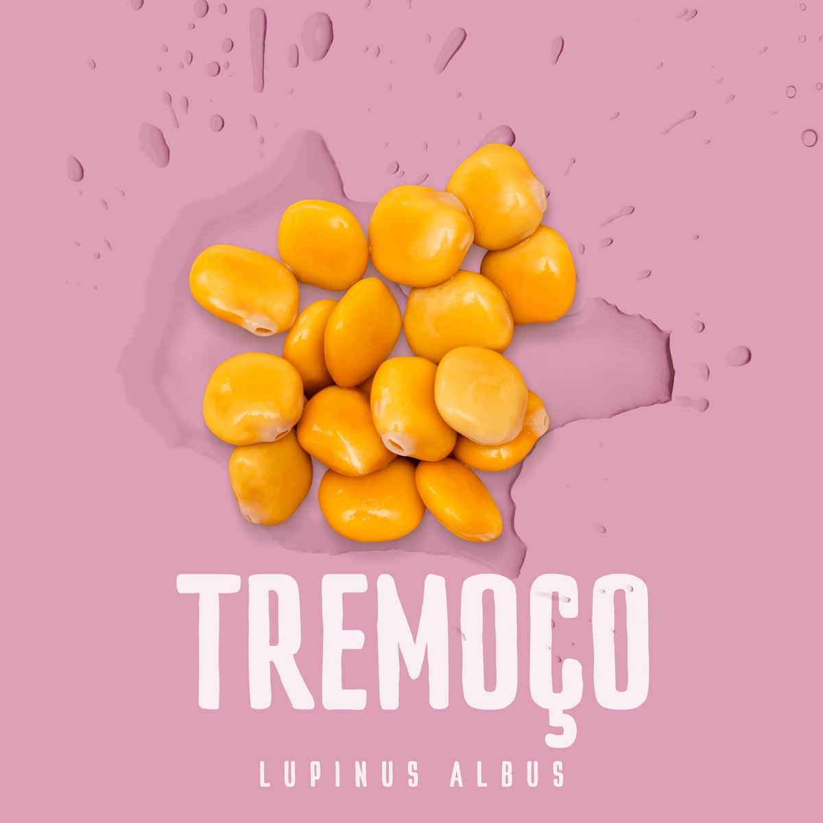 SNS_Portugal's tweet photo. Sabia que o tremoço é uma leguminosa? E que é a leguminosa com maior quantidade de proteína? Com poucas calorias, garante saciedade, graças ao seu elevado conteúdo em proteínas e fibras. Fique a conhecer mais sobre a sua composição nutricional. #Saúde #SNS #Leguminosa #Tremoço https://t.co/DjNrep1LKk
