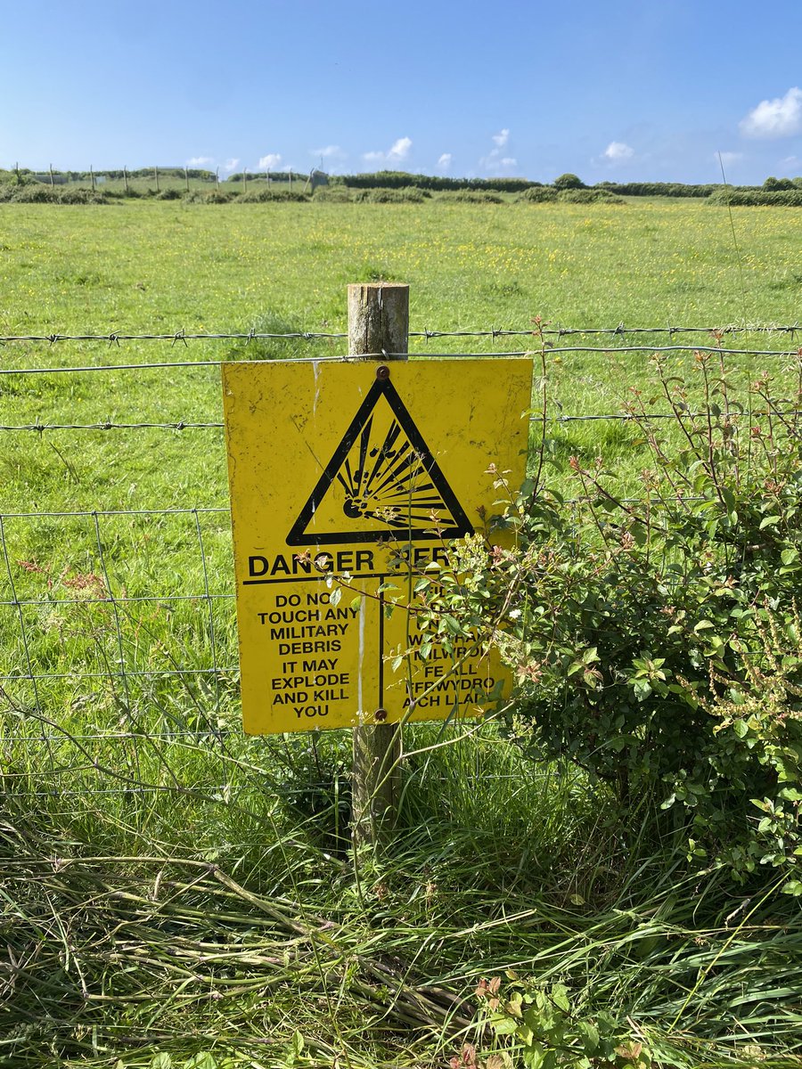 Gregg Hayes tweet media