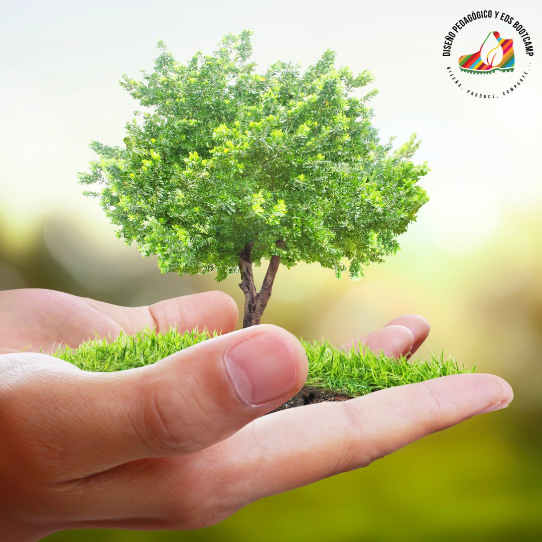 🆘 El mundo necesita valores para superar el cambio climático, la degradación medioambiental 🌱, las desigualdades... Si eres un profesional en educación 📚para el desarrollo sostenible puedes ser parte del cambio 👉 bk58.short.gy/BLEwA9

#DíaMundialDelAmbiente
#EDSBootcamp
