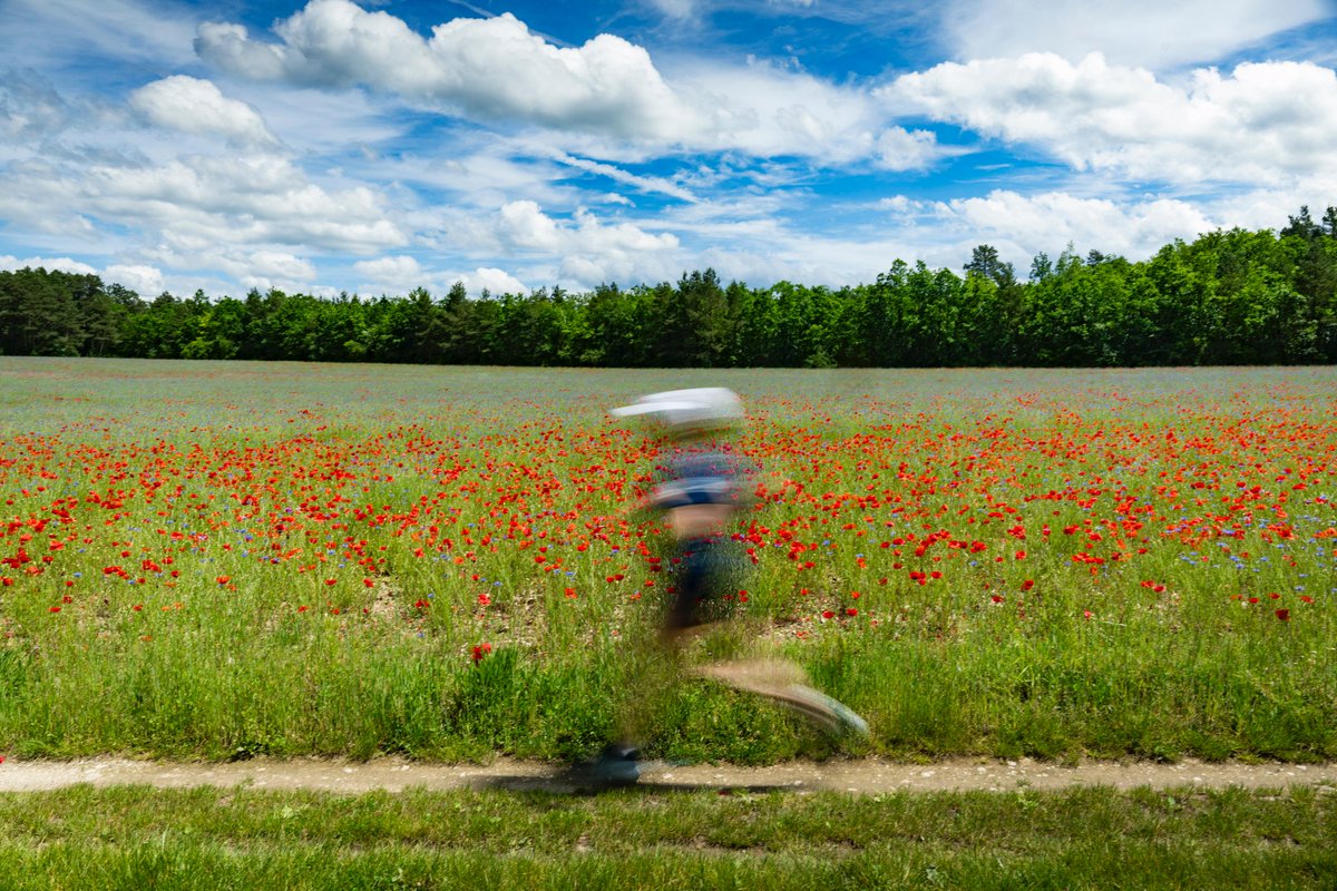 Mina Guli tweet media