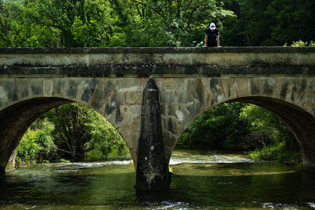 Mina Guli tweet media