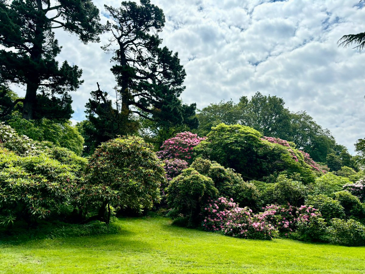 apallan's tweet photo. So Rowallane Gardens were the venue for todays walk bringing the total to just over 30k. The gardens are beautiful and I have enough photos for a week. Really worth a visit. Hard to pick out photos for today but here goes. @nationaltrust #Rowallane @DementiaUK https://t.co/hl8KHZRmZ5