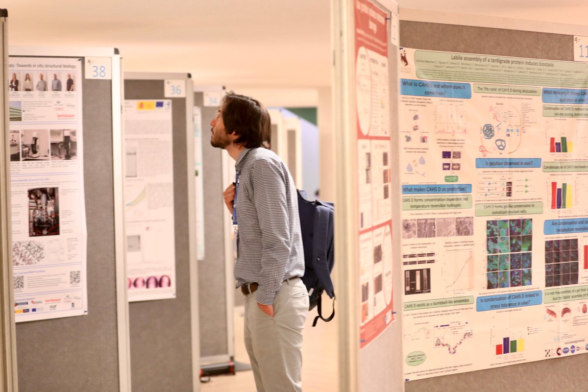 European South Atlantic Biophysics Congress 2024 tweet media