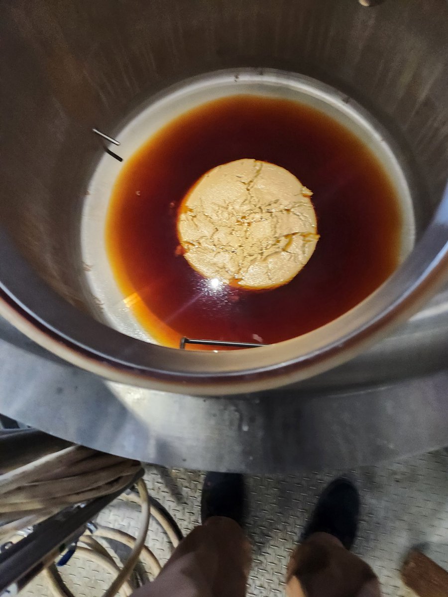 Beautiful trub pile from the first Ofest brew of the year