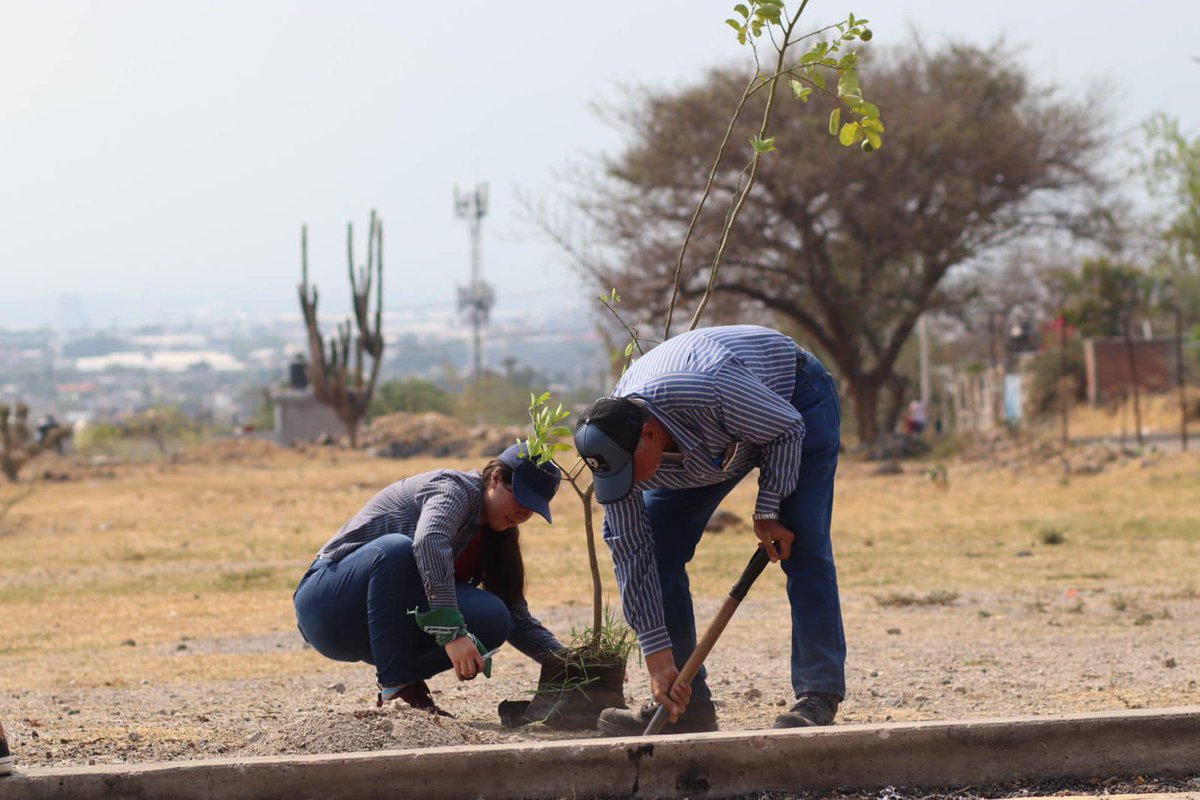 Personal de la Dirección de Medio Ambiente del Gobierno de #Jiutepec, junto a alumnos del CBTis 166 de #Tejalpa participan en el #DíaMundialDelMedioAmbiente con la reforestación de un espacio público en la colonia San Francisco Texcalpan.