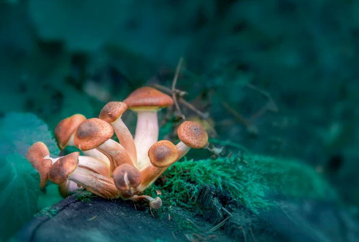 Nature Biotechnology tweet media