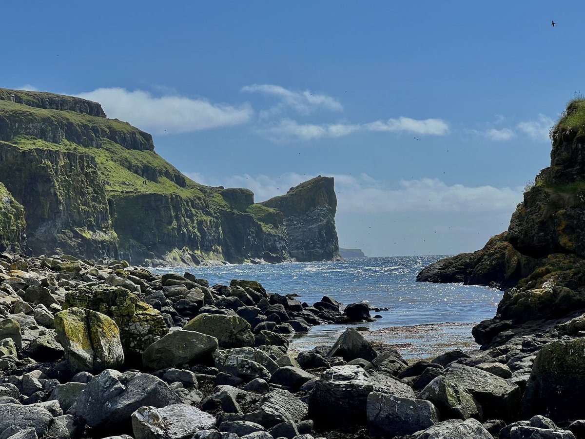 theemmadilemma's tweet photo. Beautiful Scotland 🏴󠁧󠁢󠁳󠁣󠁴󠁿☀️🦦🦌🦅
.
.
(#scotland #visitscotland #holiday #nature #naturephotos 
#naturephotgraphy #summer #blueskies #lunga #staffa #ulva #sea #seascape #seascapes #coast #coastal #visitscotland @VisitScotland) https://t.co/hvjnMfsgML