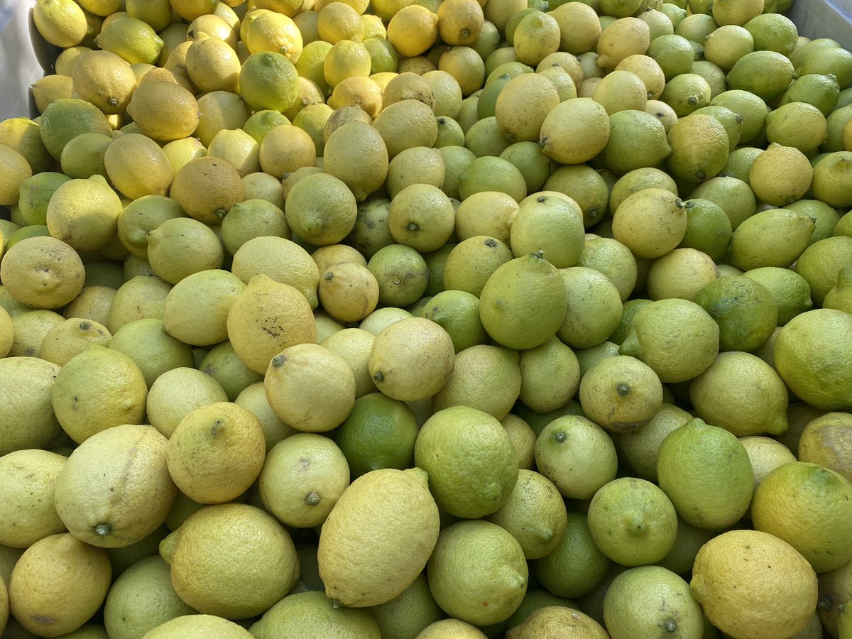 Muy interesante la recorrida en Argenti Lemon. Posgrado de Agronegocios UBA. Muchas gracias a <a href="/Bayer4CropsUY/">Bayer Uruguay 🇺🇾 | Crop Science</a> <a href="/AgroBayerAR/">Agro Bayer</a> <a href="/Bayer4Crops/">Bayer | Crop Science</a> y <a href="/UBAonline/">UBAonline</a> por la oportunidad de conocer la industria del limón en Tucumán Argentina #AgroNegociosBayer #SiesAgroesBayet