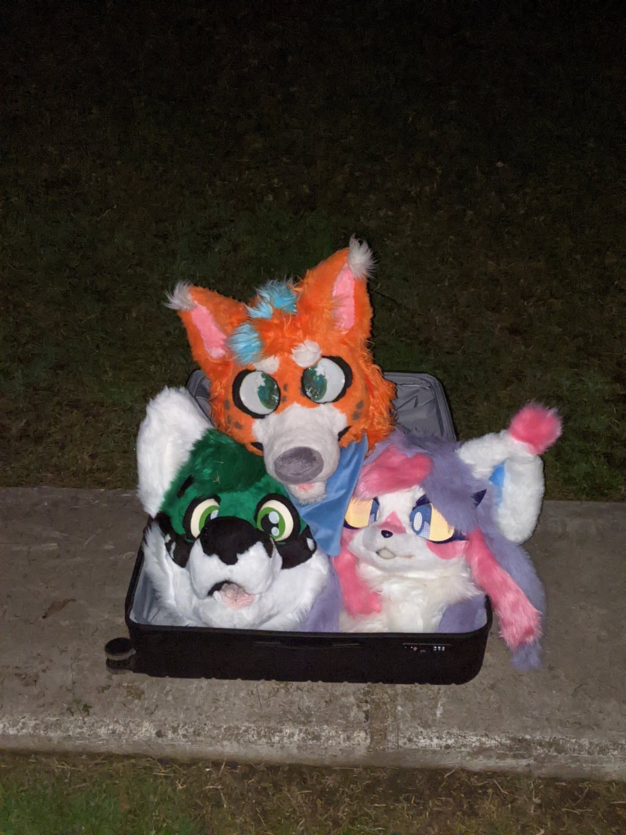 Oniixide's tweet photo. Erm, what the sigma

@LandShaarrk &amp; @Green_Gammafox in tha pile https://t.co/xroCE7QXyS