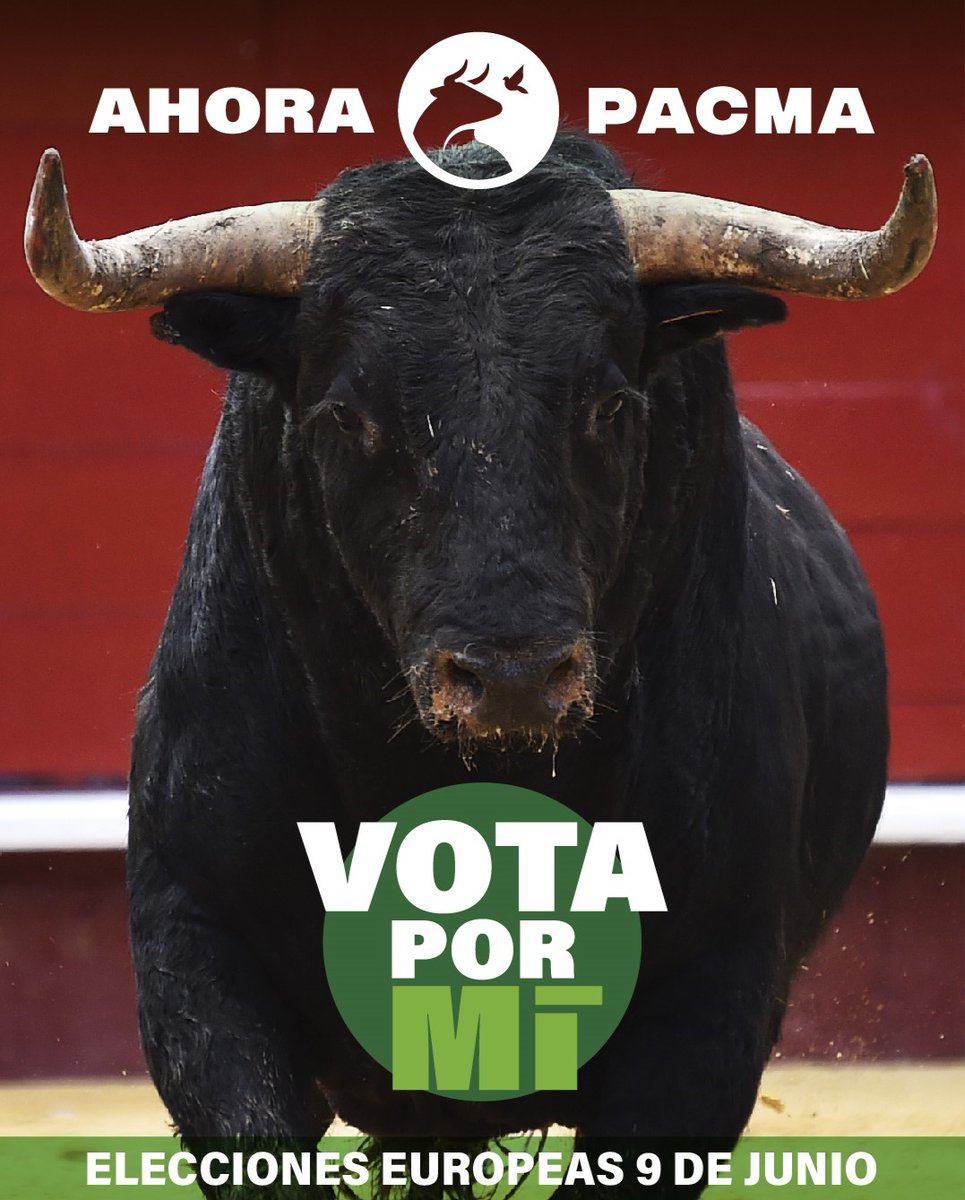 PartidoPACMA's tweet photo. Desde el Parlamento Europeo🇪🇺 PACMA trabajará para abolir la tauromaquia de una vez por todas.

Después de la abolición en Colombia, no hay mejor momento para dar el paso.

🐂Por los toros, este domingo en las elecciones europeas, #VotaPACMA. https://t.co/TnWUnrxdrV