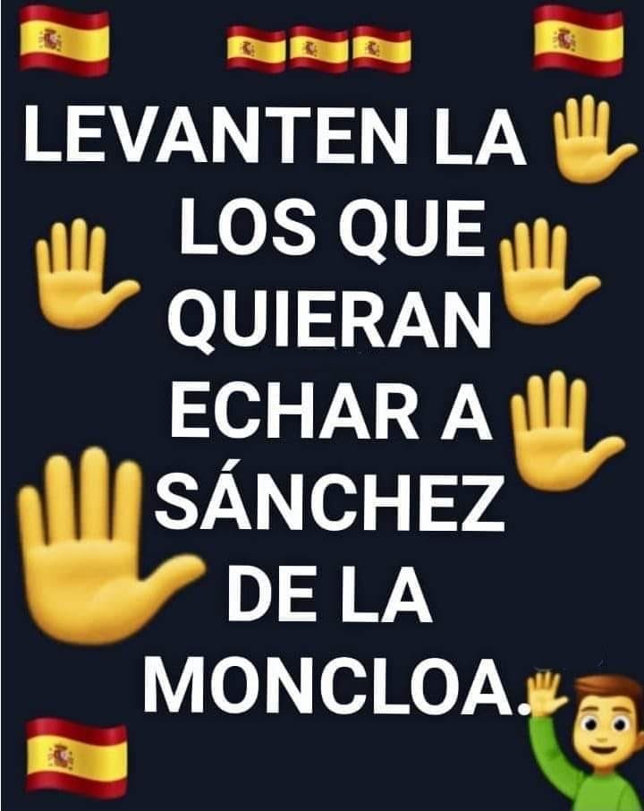 Olga 🇪🇦 tweet media