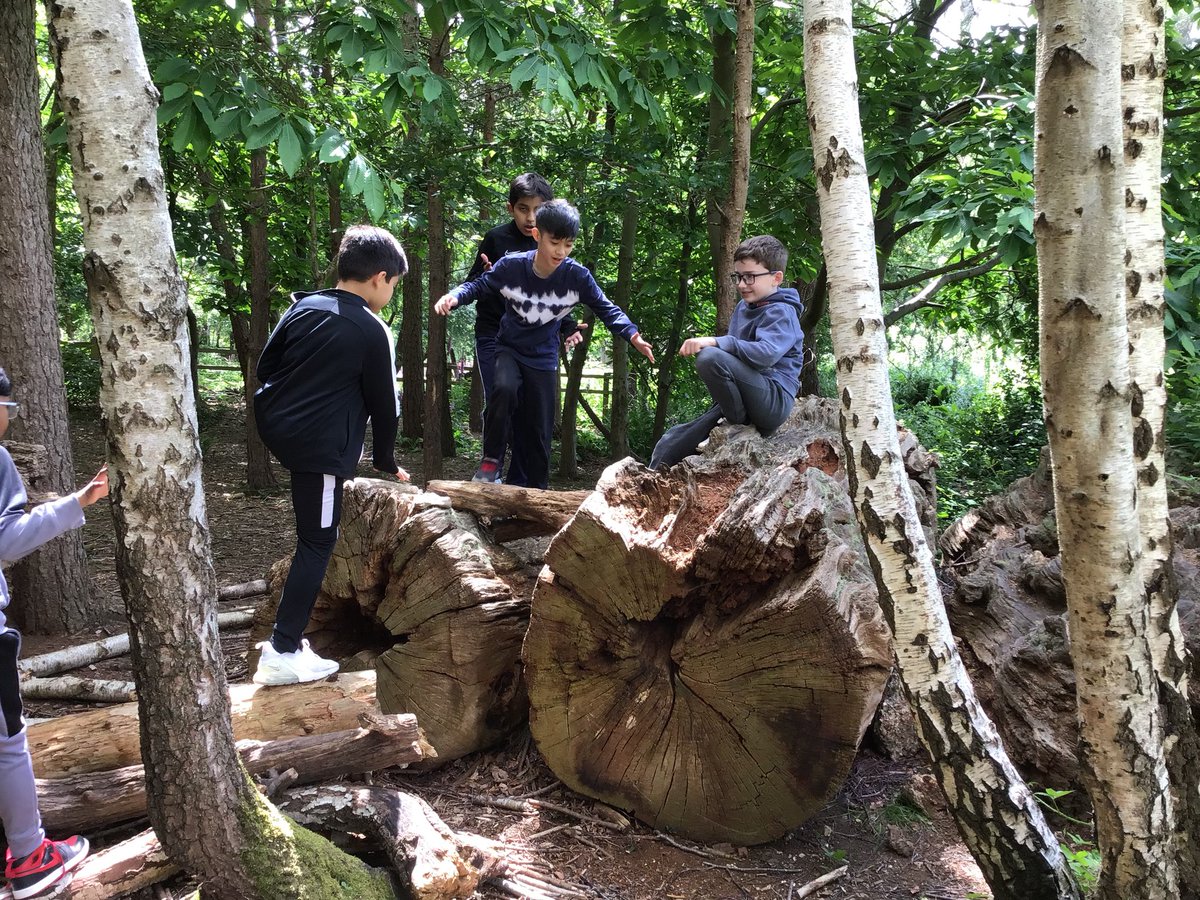 Year 4 Trip to Black Park. We had an excellent time at Forest Schools. We built dens, sawed wood and went on a scavenger hunt. Plus the weather was good! #blackpark #forestschools #wildlife #blackparkforestschools