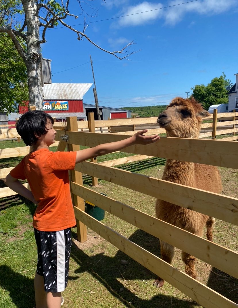 ApohaquiElem's tweet photo. A beautiful day for our whole school field trip to Boyle Family Farm! Lots of happy faces today! https://t.co/IWVmGN3grx