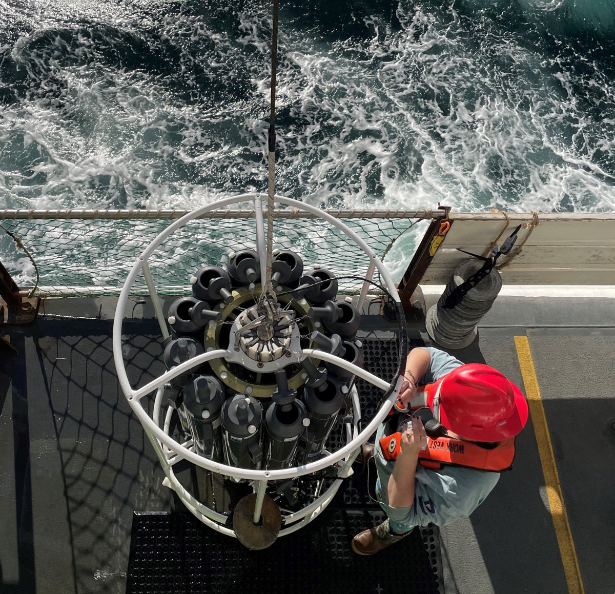 USGS's tweet photo. Do you know what lives in an octopus's garden? 🐙🌻? 

See our new factsheet to learn how eDNA could help find the answer and be applied to offshore wind energy development: https://t.co/OOMQ1S1b6G

#CHOW2024 #RenewableEnergy #OceanConservation #eDNA #Biodiversity https://t.co/vgXM1MCfns