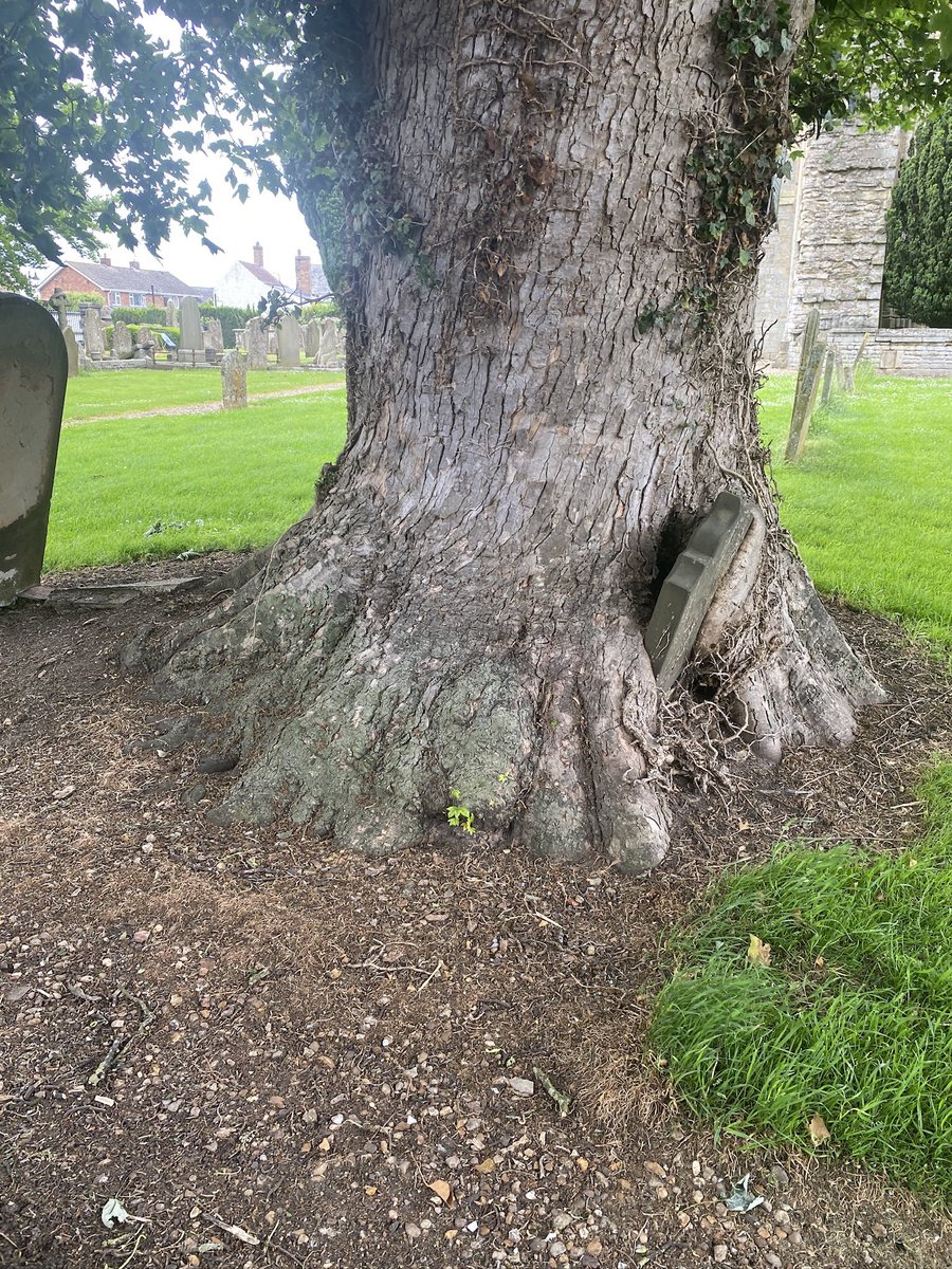 Nigel Pepper tweet media