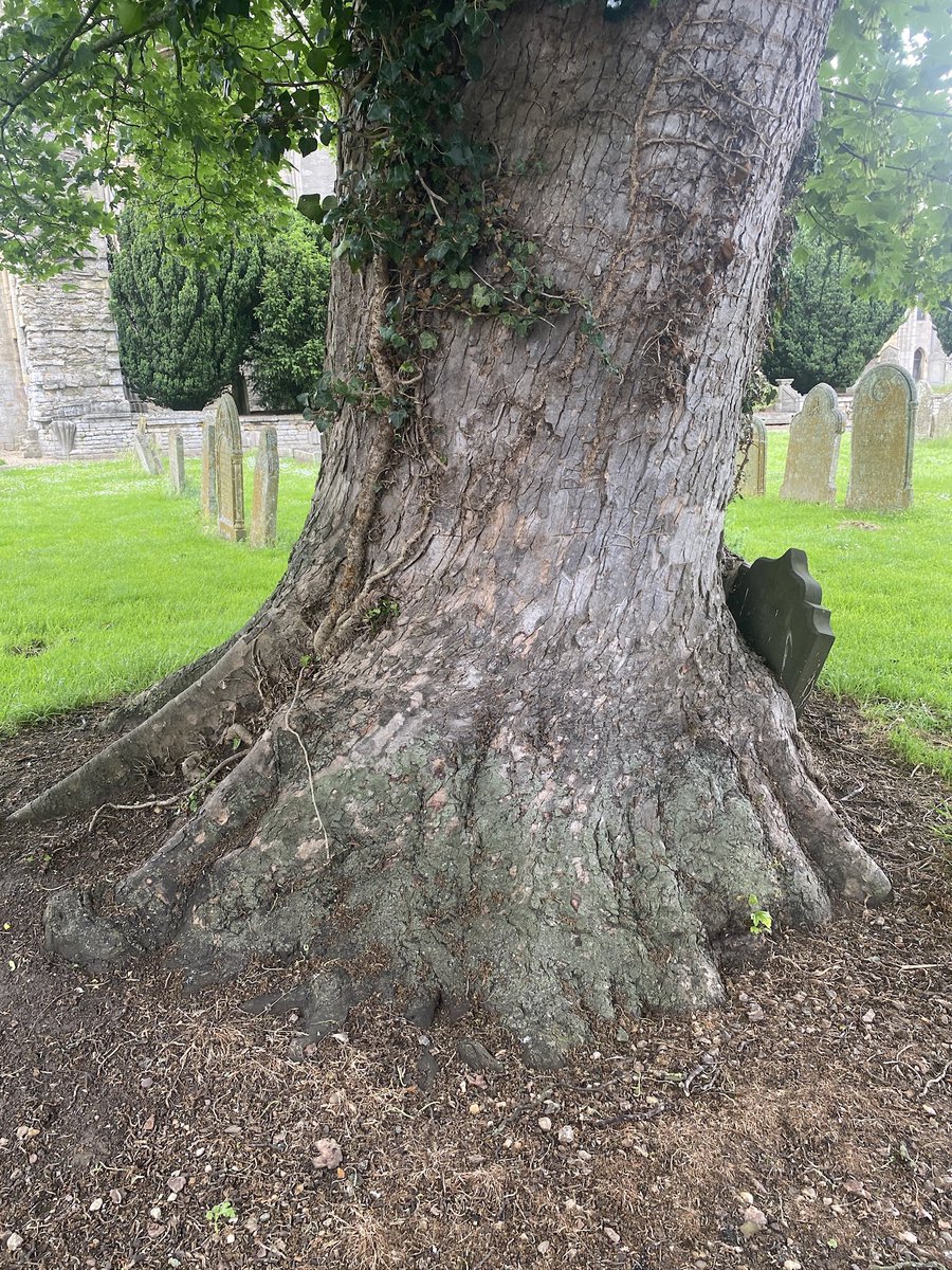 Nigel Pepper tweet media