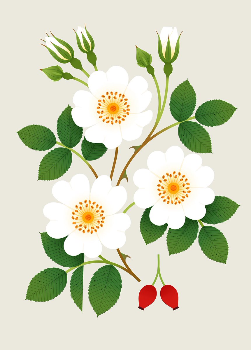 Sarah Abbott tweet media