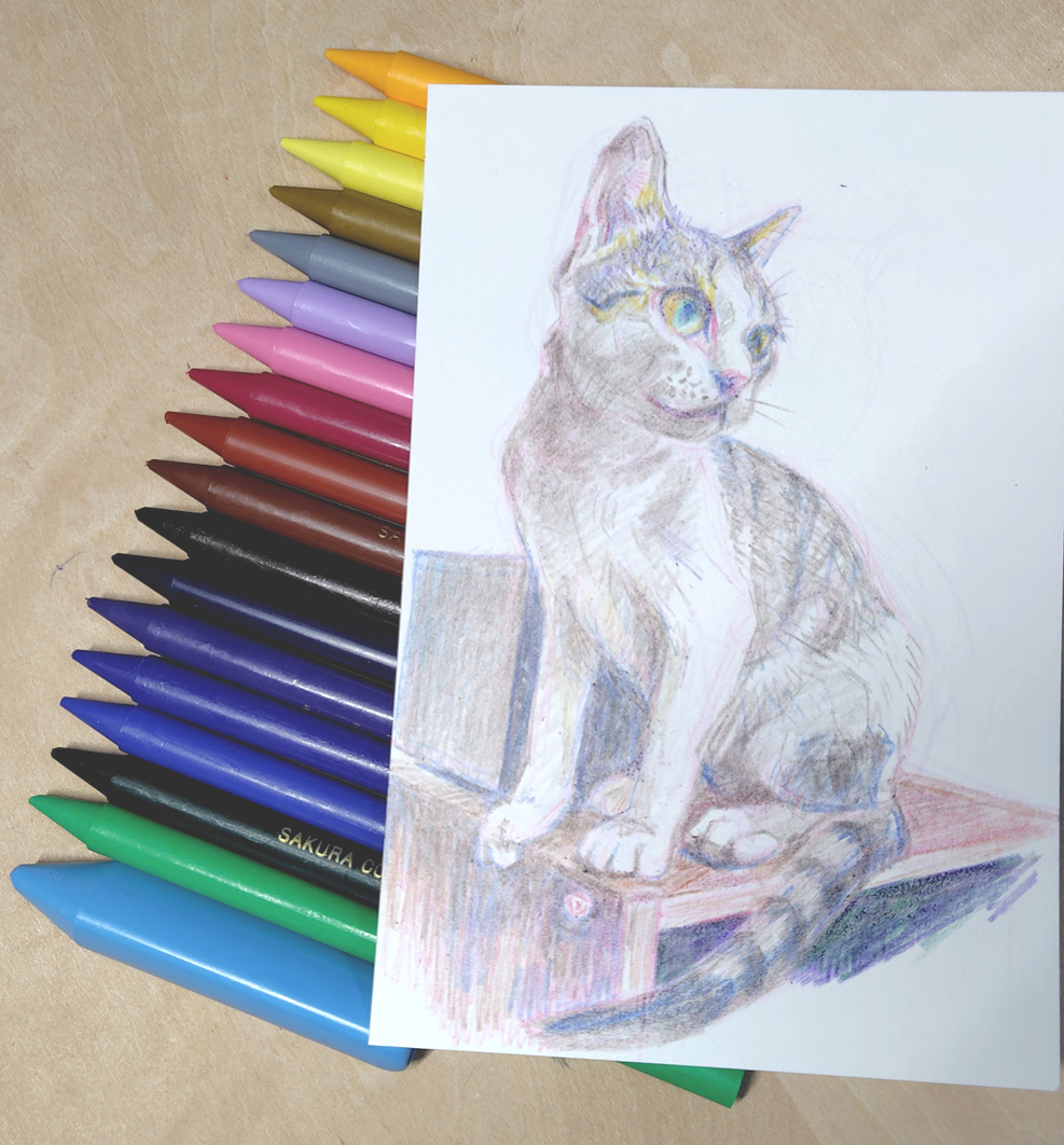 「この前のクーピーペンシルで実家の猫を描いてみました細い線は0.3mmのドローイン」|chisaのイラスト