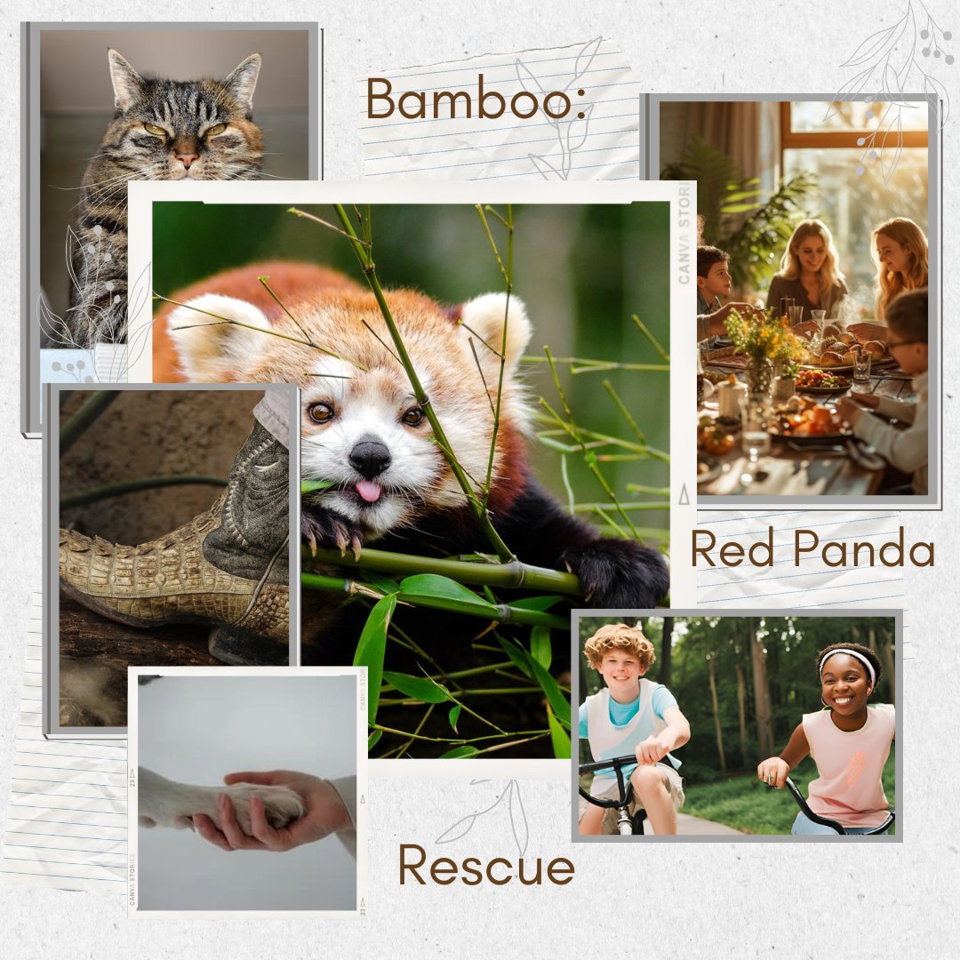 🌈Cel✨ - #amquerying #MG 📚 tweet media