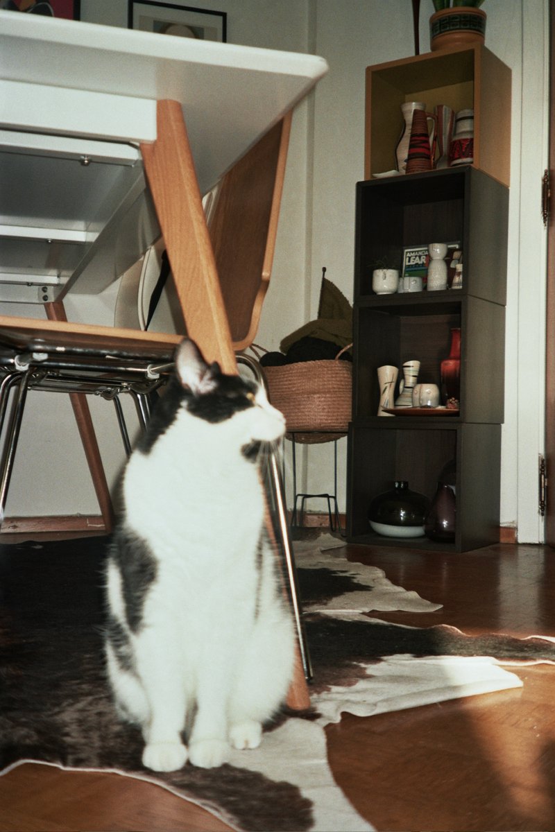 miuwillow's tweet photo. some things on film. https://t.co/iK8yjLKDTY