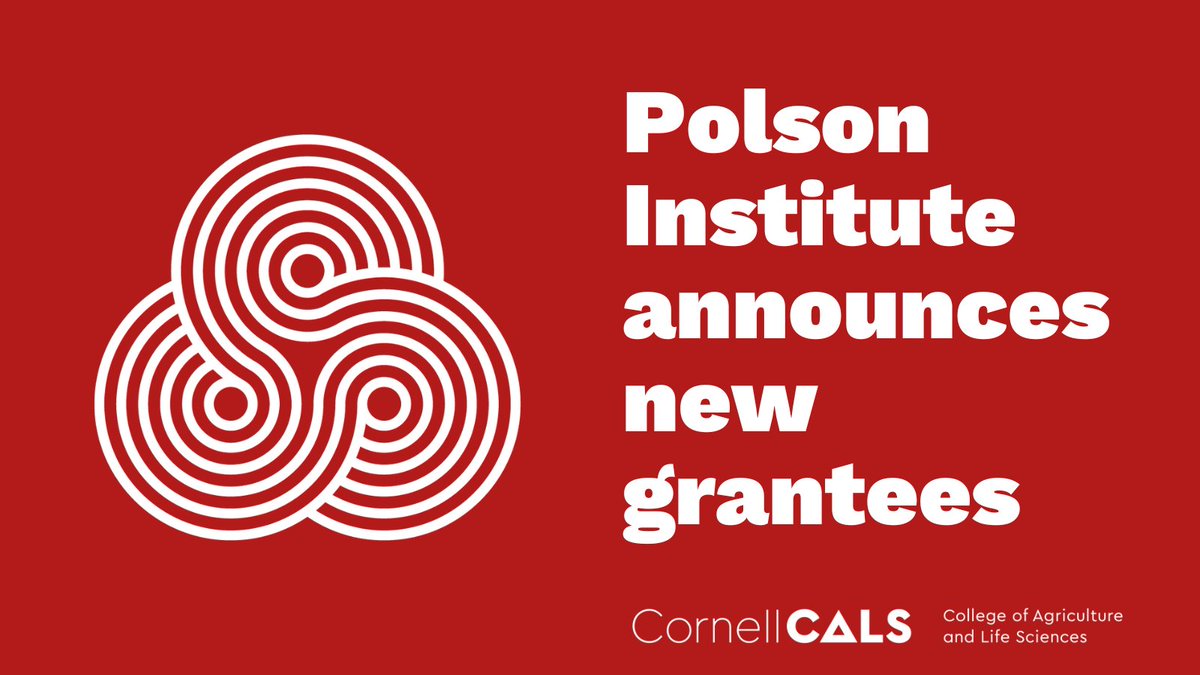 Eight newly funded projects supported by the Polson Institute for Global Development will promote research and teaching at the intersection of systemic inequality and social-environmental justice. 

🔖Read all project abstracts: cals.cornell.edu/news/2024/06/p…