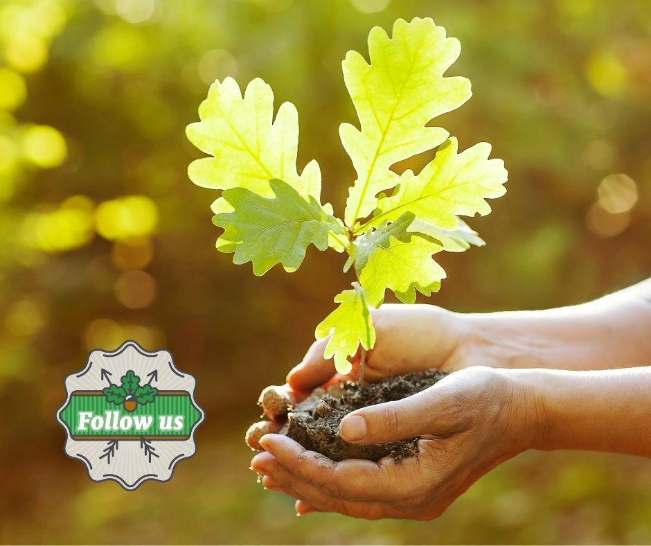 🌿 Change is in the air! Invest From The Ground Up will retire next week, but our commitment to California's urban forests remains strong. Follow us @CaUFC and visit caufc.org. #SustainableCities #CaUFC