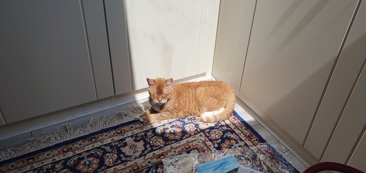 Mr Nelson makes optimum use of the room's shrinking sun spot before it vanishes for 24 hours.