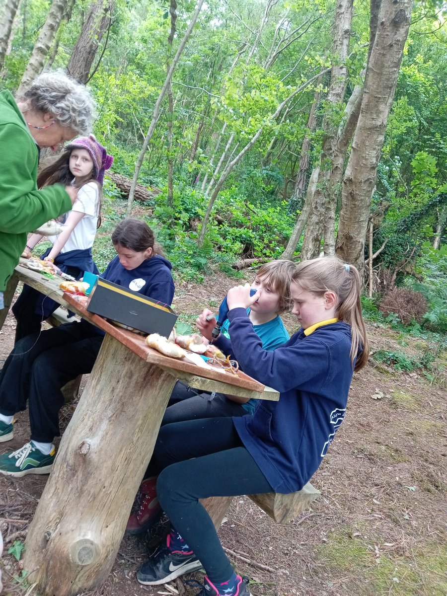 Wel am amser da gafodd disgyblion Braich Garw yn 'Coed Lleol' Taliesin yn ddiweddar! Teithio i Oes y Celtiaid, peintio wynebau, gwehyddu, lliwio a chreu gyda gwlân, coginio ac adeiladu dens! Diolch o galon i Jenny a Zena am drefnu yr holl weithgareddau ac i <a href="/CelfCymru/">Celf</a> am y nawdd.