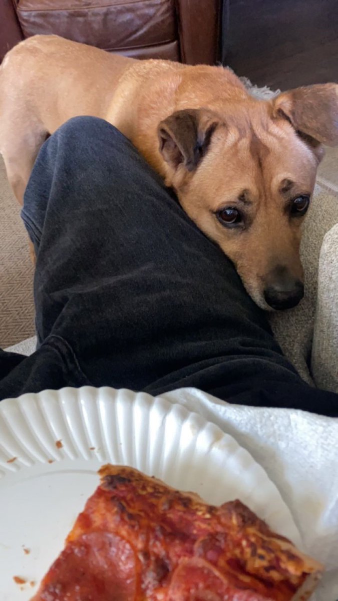 This freeloader is always asking for free handouts smh my head my head 🗣️