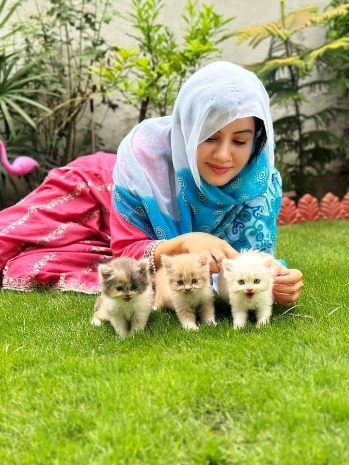 پکھی واس ™🖤 tweet media