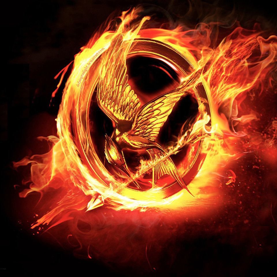 CultureCrave's tweet photo. New #HungerGames prequel movie releases in theaters November 20, 2026

The story follows the Second Quarter Quell, won by Haymitch https://t.co/j3oVjoHqK7