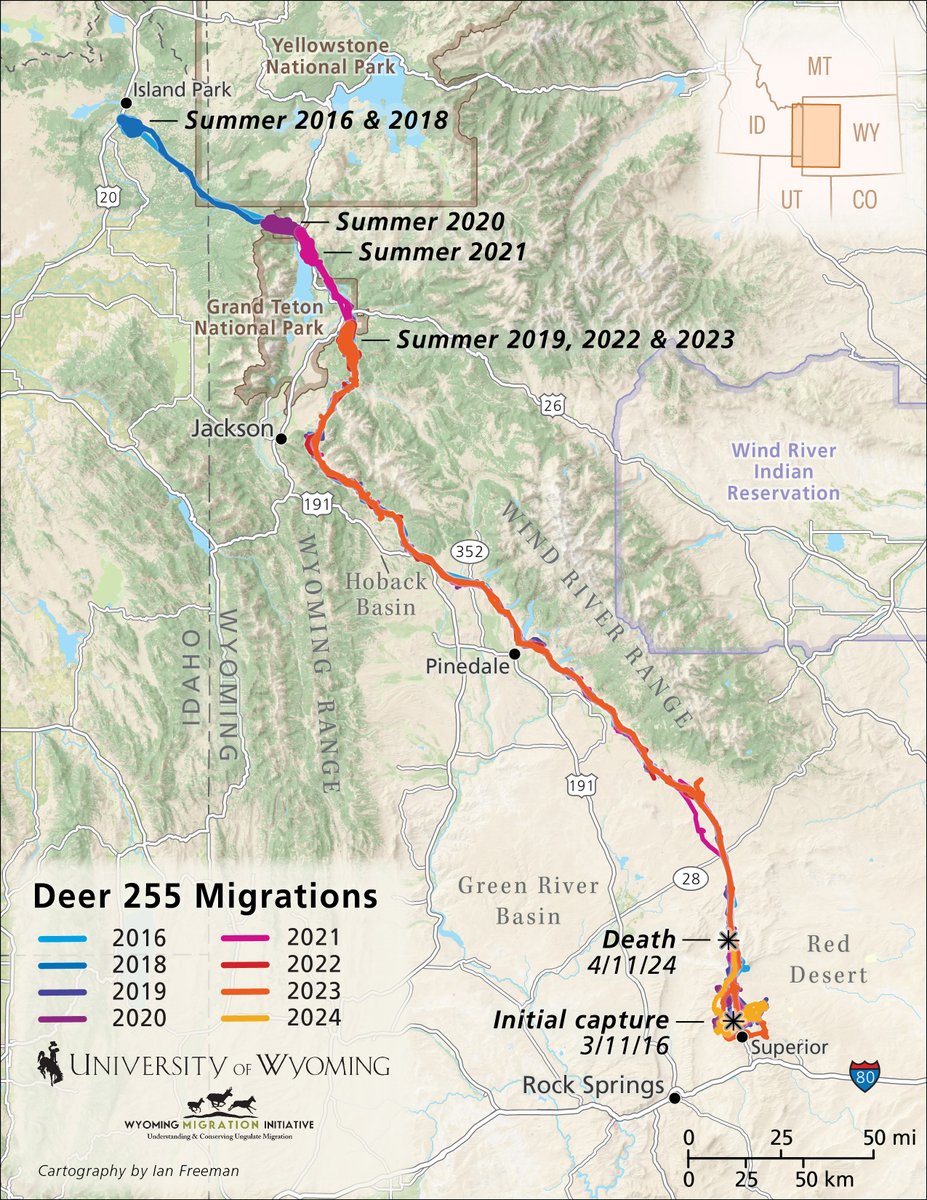 Wyoming Migration Initiative tweet media