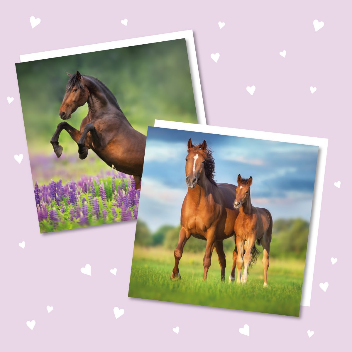 RiversideCards's tweet image. We have a variety of blank cards in our range at Riverside ⭐️

These are just two designs from our Wildlife range, a perfect send for those animal lovers 💕

#greetings #greetingcarddesign #greetingcards #greetingscards #display #installation #profit #profitability #convenience