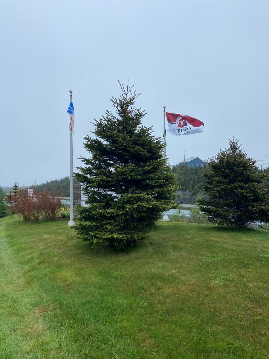 TownofCBS's tweet photo. Deputy Mayor @AndreaGosse has proclaimed June 4-11, 2024 as Shriners International Awareness Week. 

Shriners International is a well-known fraternity dedicated to philanthropy, with hundreds of thousands of members who belong to 196 chapters throughout the world. https://t.co/zkkd59MSS7