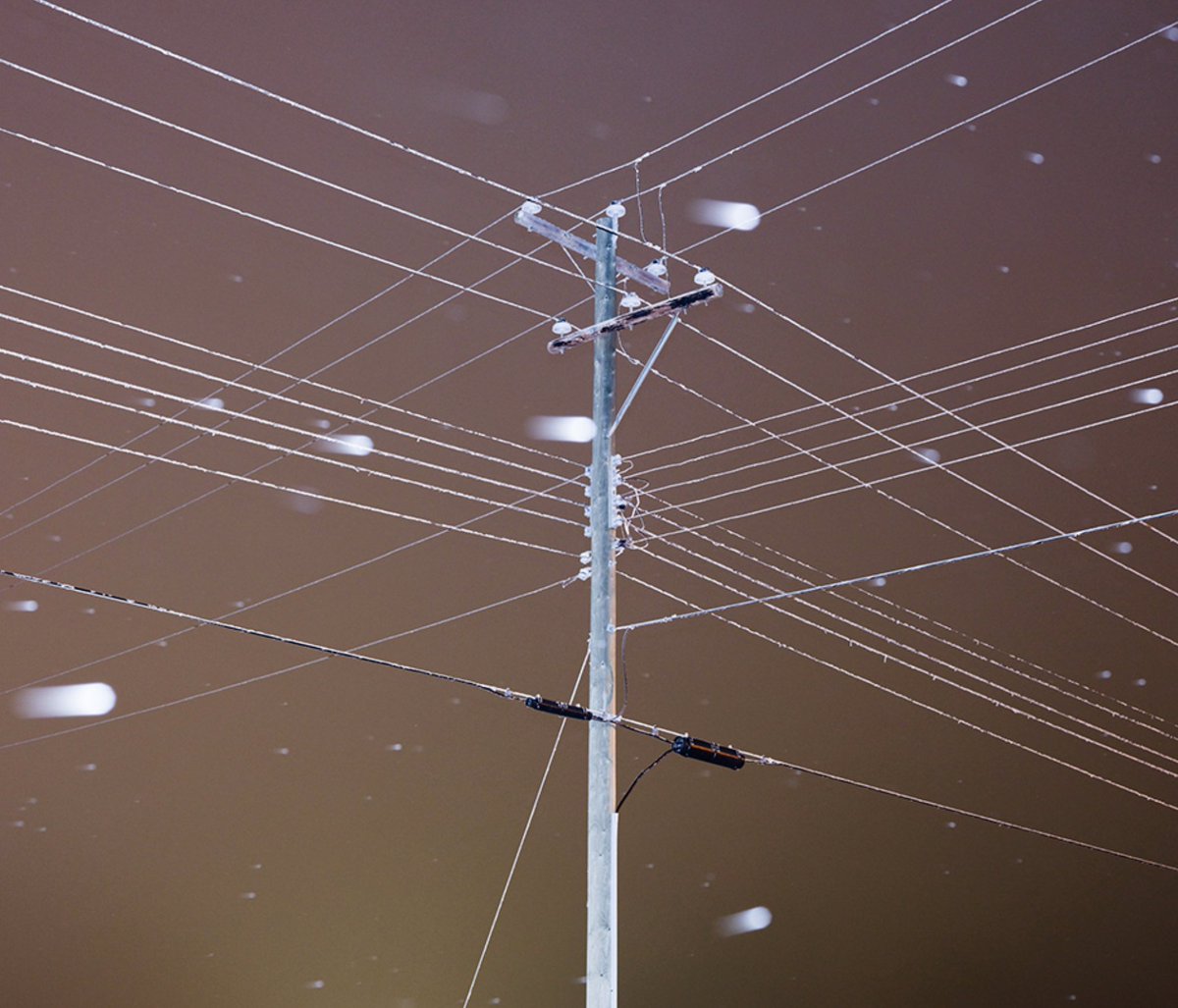 Aliens in Residence tweet media