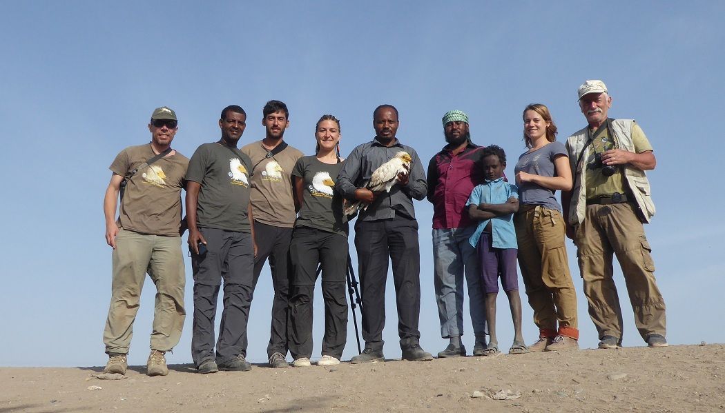 Steffen Oppel (@steffopp) on Twitter photo NEW JOB in #ornithology with <a href="/BirdLife_Sci/">BirdLife Science</a> to help with the #conservation of #migratory #birds around the world: buff.ly/3X9VJ16 NEW JOB in #ornithology with <a href="/BirdLife_Sci/">BirdLife Science</a> to help with the #conservation of #migratory #birds around the world: buff.ly/3X9VJ16