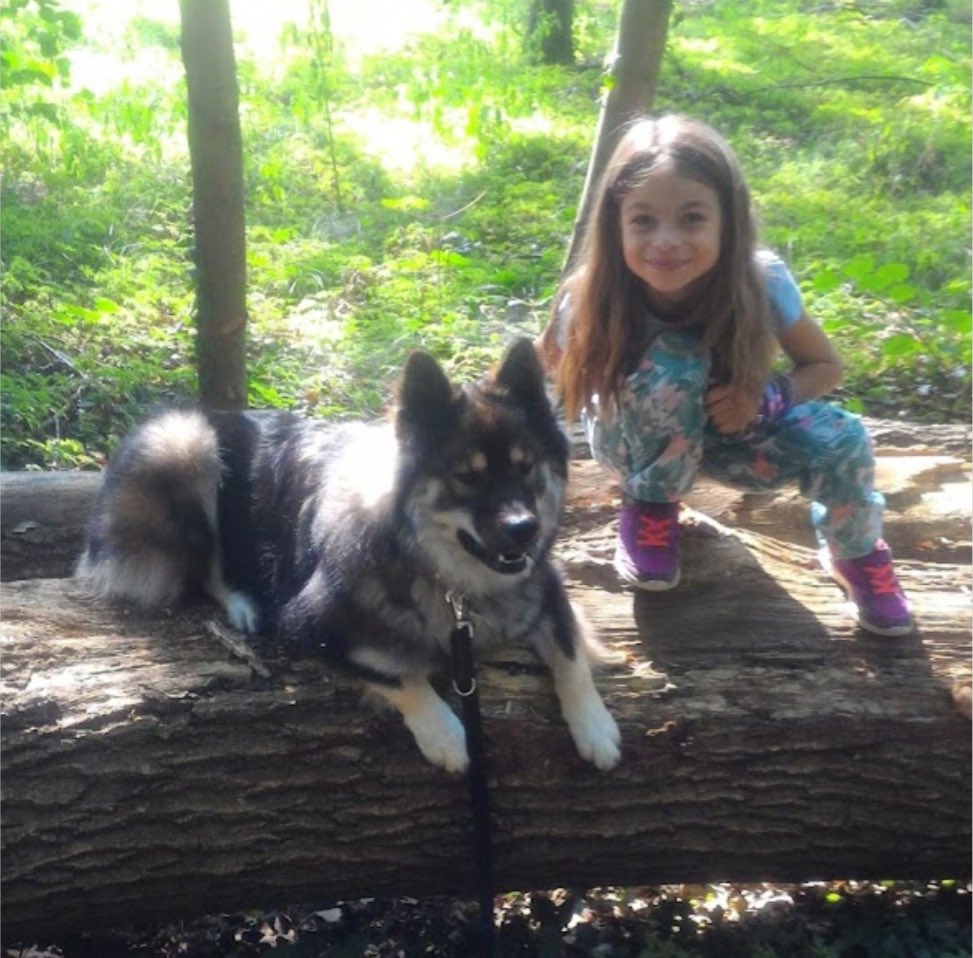 Didi_o7's tweet photo. Happy birthday Arek der coolste Hund der Welt❤️❤️ 
Einfach schön 9 Jahre🥹🥹❤️
Ich hab dich lieb❤️❤️❤️ https://t.co/Ge6wE7lzrl