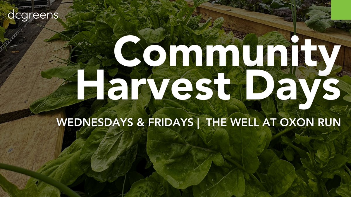 DC Greens tweet media